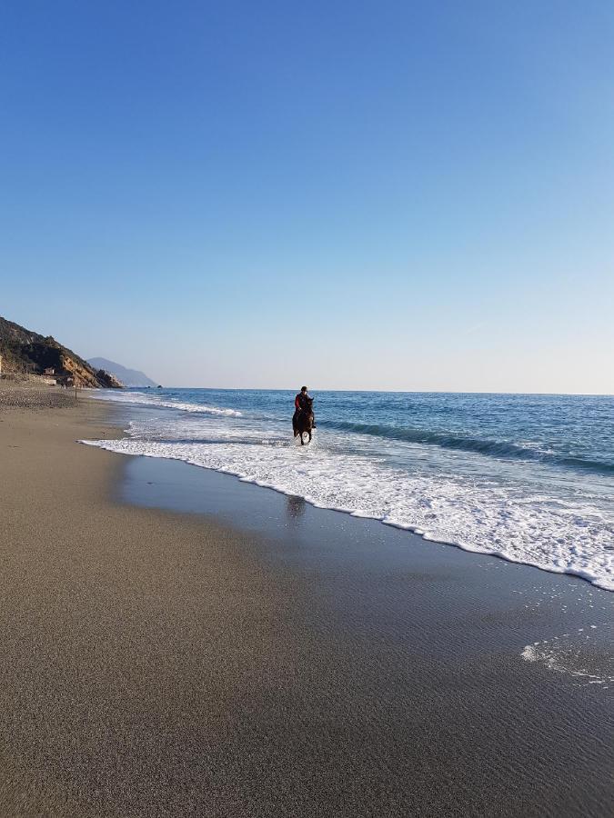 Mare Mosso Deiva Marina