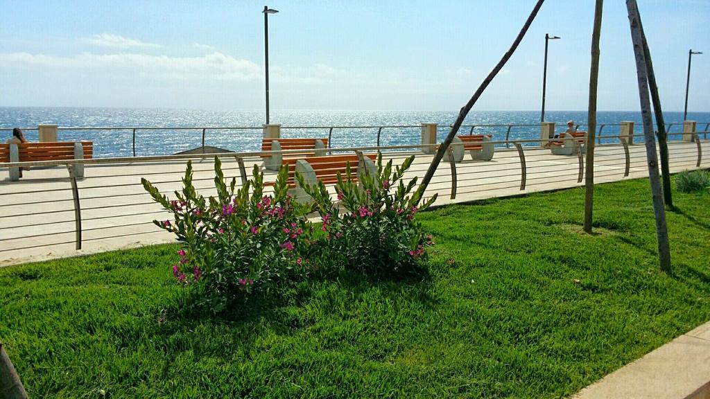 Mare Mosso